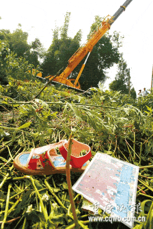 重庆昨两起校车事故 2人死亡20余人伤