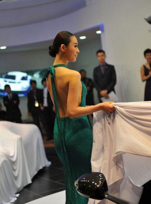 甄子丹/兽兽领衔 8大娱乐名人亮相广州车展(3)