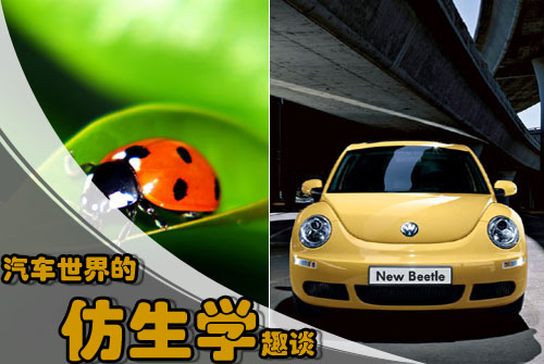 汽车世界的仿生学 汽车世界的仿生学