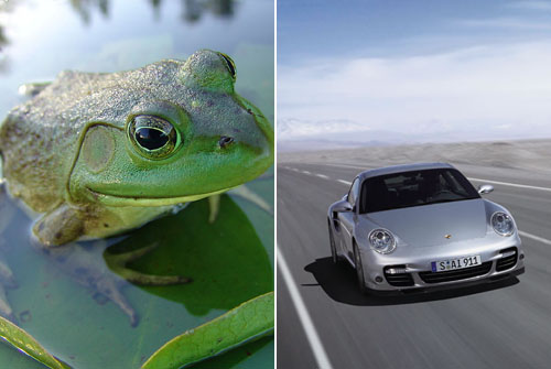 保时捷911 保时捷911