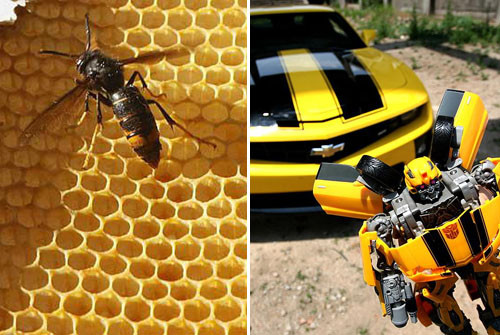 雪佛兰Camaro 雪佛兰Camaro