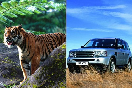 路虎揽胜 路虎揽胜