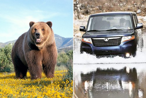 长城酷熊 长城酷熊